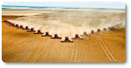 agriculture intensive